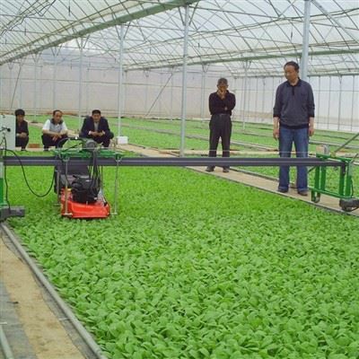 Smart Greenhouse System