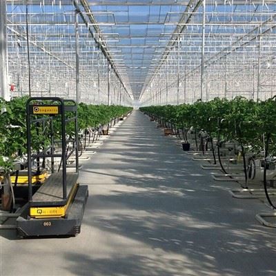 Smart Greenhouse System