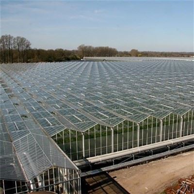 Smart Greenhouse System
