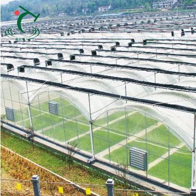 China Tunnel Film Greenhouse