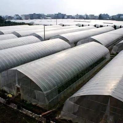 Single Span Tunnel Greenhouse